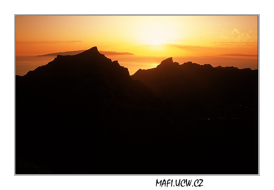 canaria06_05_06 .jpg